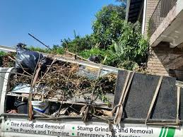 Best Attic Cleanout in Lake Brownwood, TX